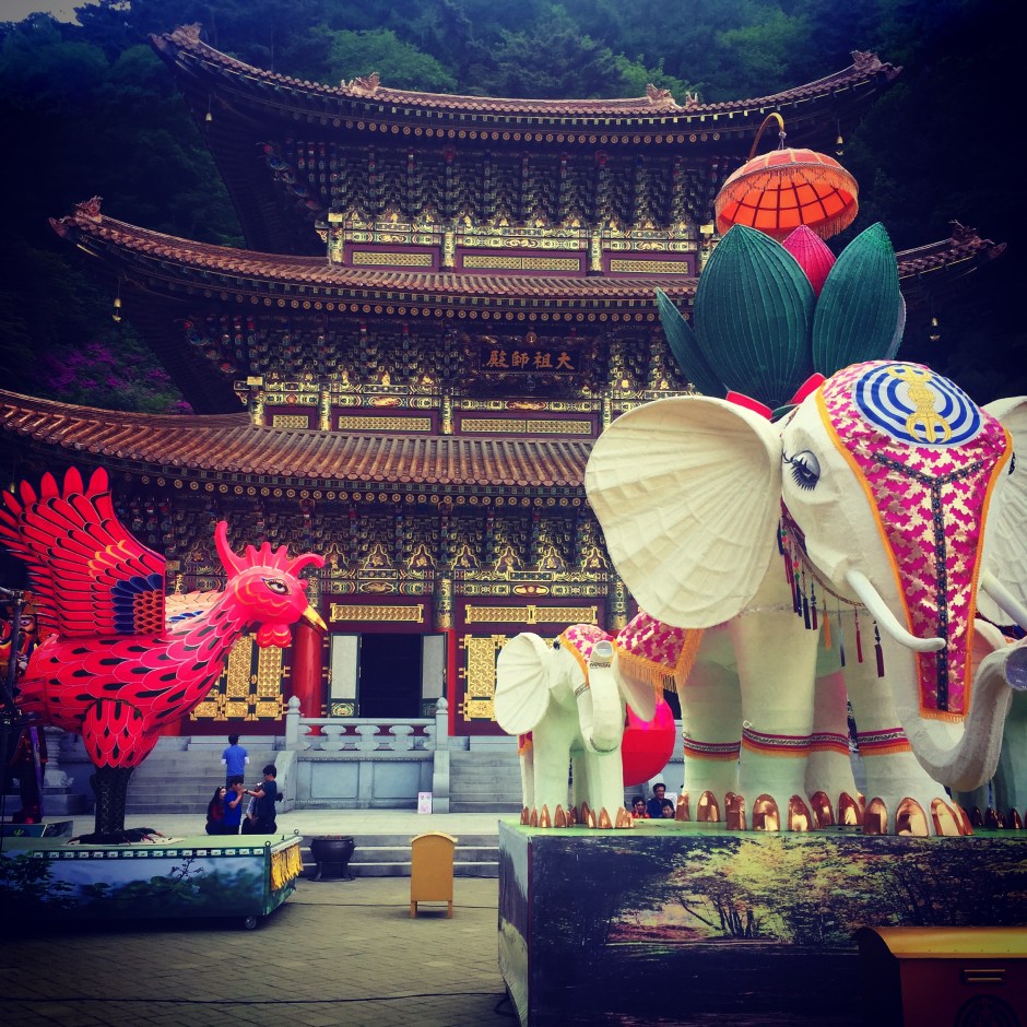 2016-05-14 17.16.11-1