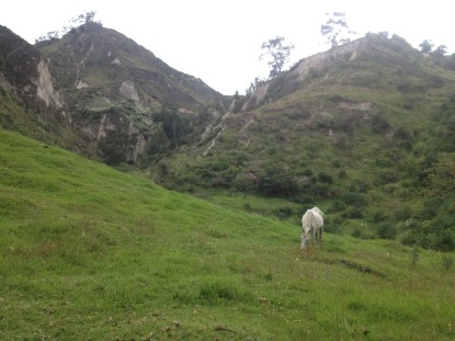 2014-05-05 15.08.13.jpg